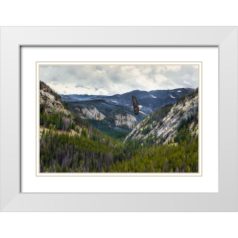 Mountains With Eagle White Modern Wood Framed Art Print with Double Matting by Galloimages Online