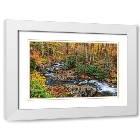 Tremont Stream White Modern Wood Framed Art Print with Double Matting by Galloimages Online