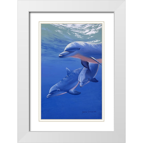 Dolphin Smile White Modern Wood Framed Art Print with Double Matting by Stevenson, Graeme