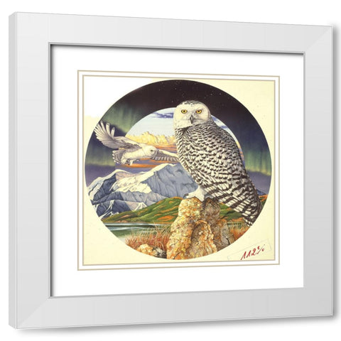 Northern Lights White Modern Wood Framed Art Print with Double Matting by Stevenson, Graeme