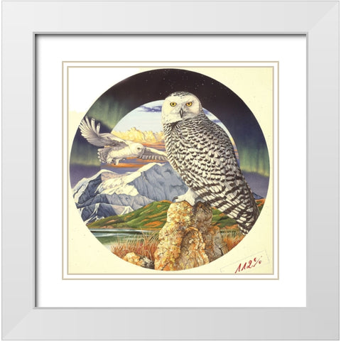 Northern Lights White Modern Wood Framed Art Print with Double Matting by Stevenson, Graeme