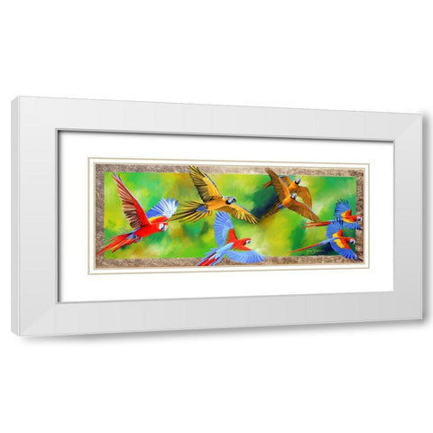 Parrot Party White Modern Wood Framed Art Print with Double Matting by Stevenson, Graeme