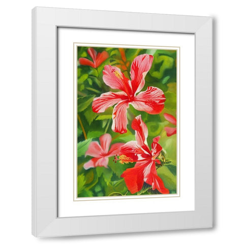 Red Hibiscus 3 White Modern Wood Framed Art Print with Double Matting by Stevenson, Graeme