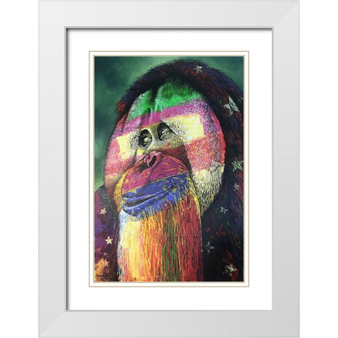 IMG_4910 White Modern Wood Framed Art Print with Double Matting by Stevenson, Graeme