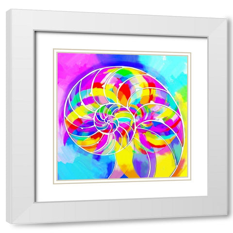 Nautilaus Shell White Modern Wood Framed Art Print with Double Matting by Green, Howie