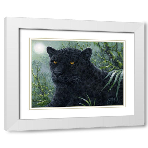 Black Beauty White Modern Wood Framed Art Print with Double Matting by Tift, Jeff