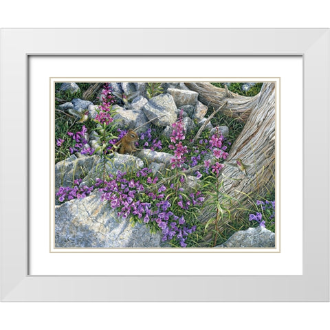 Squirrel Painting White Modern Wood Framed Art Print with Double Matting by Tift, Jeff