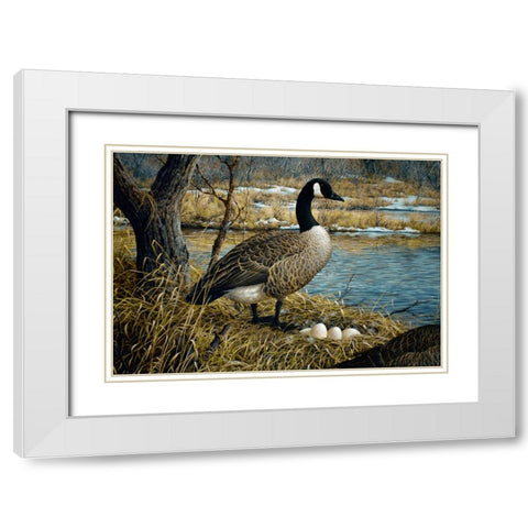 Canadian Goose White Modern Wood Framed Art Print with Double Matting by Tift, Jeff