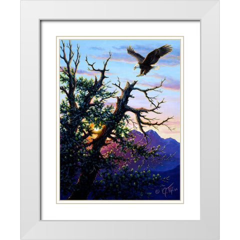 Touchdown PaintingJeff Tift White Modern Wood Framed Art Print with Double Matting by Tift, Jeff