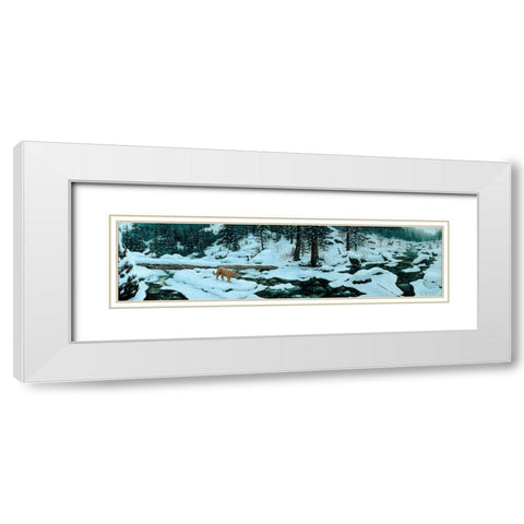 First Alert White Modern Wood Framed Art Print with Double Matting by Tift, Jeff