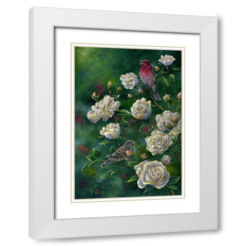 Purple Finch White Modern Wood Framed Art Print with Double Matting by Tift, Jeff