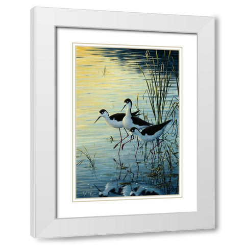 Elegant Trio - Blacknecked Stilts White Modern Wood Framed Art Print with Double Matting by Tift, Jeff
