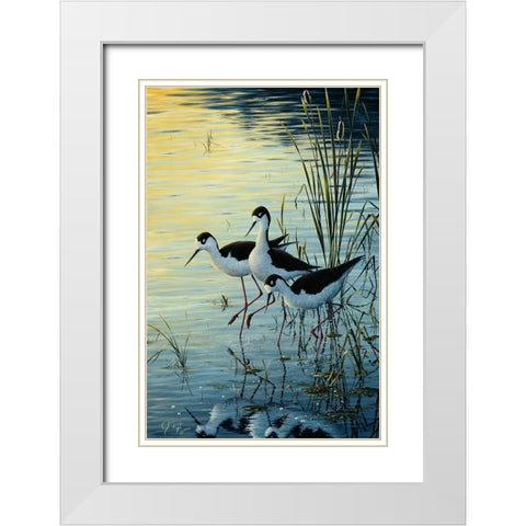 Elegant Trio - Blacknecked Stilts White Modern Wood Framed Art Print with Double Matting by Tift, Jeff