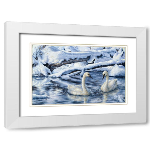 Tundra Swans White Modern Wood Framed Art Print with Double Matting by Tift, Jeff