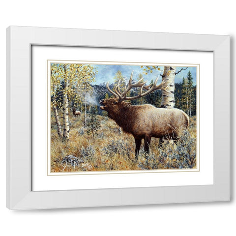 Wapiti White Modern Wood Framed Art Print with Double Matting by Tift, Jeff