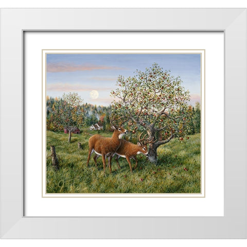 Whitetails Under The Apple Tree White Modern Wood Framed Art Print with Double Matting by Tift, Jeff
