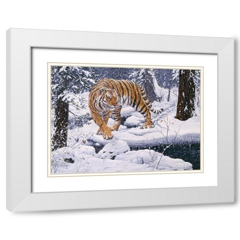 Silent Hunter- Siberian Tiger White Modern Wood Framed Art Print with Double Matting by Tift, Jeff