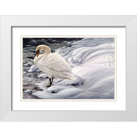 Edge Of Light - Mute Swan White Modern Wood Framed Art Print with Double Matting by Tift, Jeff
