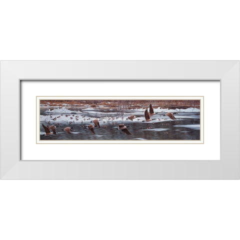 Along The Waterfront White Modern Wood Framed Art Print with Double Matting by Tift, Jeff
