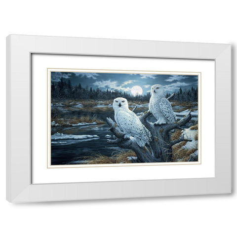 Snowy Owls White Modern Wood Framed Art Print with Double Matting by Tift, Jeff