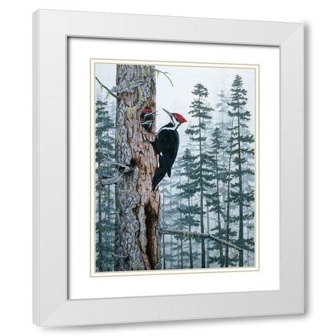 Piliated Woodpeckers White Modern Wood Framed Art Print with Double Matting by Tift, Jeff