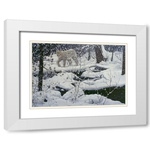 Canadian Lynx And Snowshoe Hare White Modern Wood Framed Art Print with Double Matting by Tift, Jeff