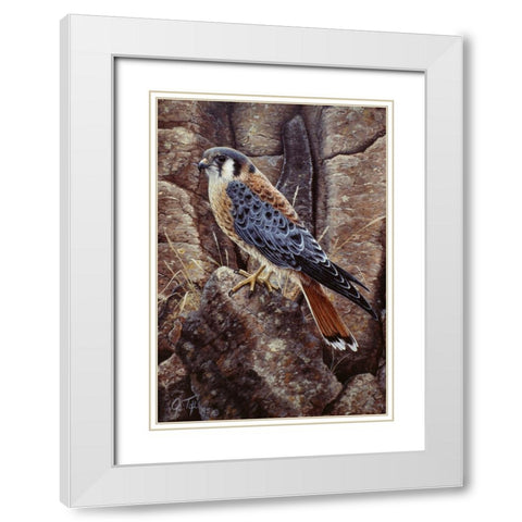 Blue Hawk White Modern Wood Framed Art Print with Double Matting by Tift, Jeff