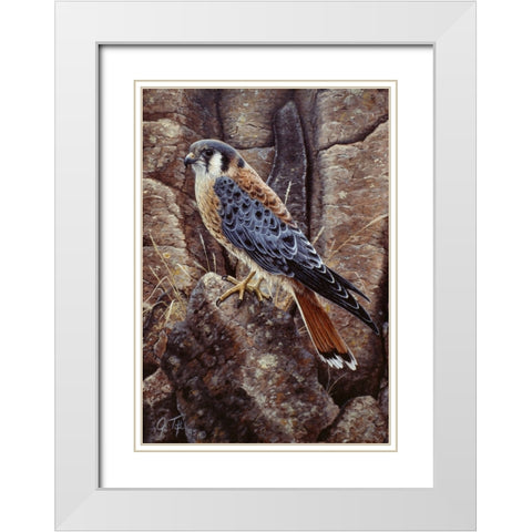 Blue Hawk White Modern Wood Framed Art Print with Double Matting by Tift, Jeff