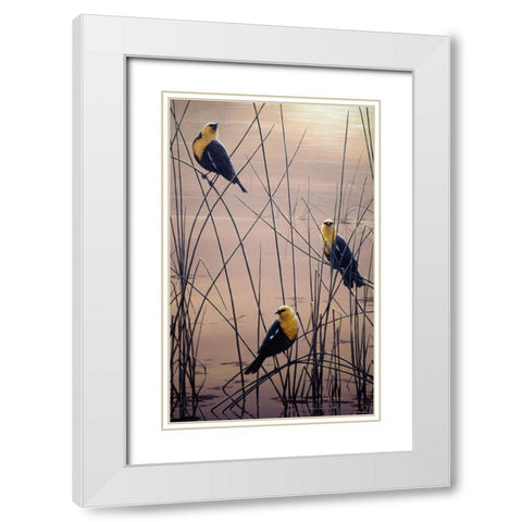Yellow Headed B Birds White Modern Wood Framed Art Print with Double Matting by Tift, Jeff