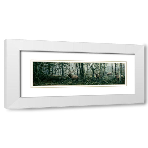 Enchanted Forest White Modern Wood Framed Art Print with Double Matting by Tift, Jeff