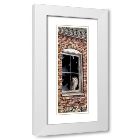 The Look Out White Modern Wood Framed Art Print with Double Matting by Tift, Jeff