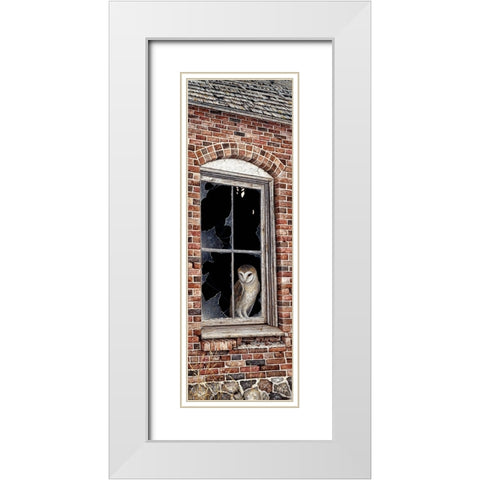 The Look Out White Modern Wood Framed Art Print with Double Matting by Tift, Jeff