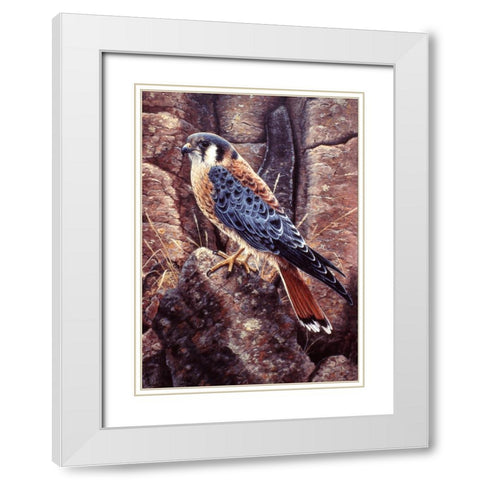 Kestral White Modern Wood Framed Art Print with Double Matting by Tift, Jeff