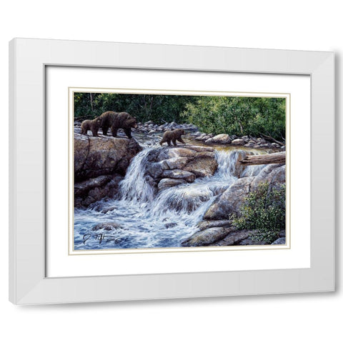 Entiat Falls-Grizzly Family White Modern Wood Framed Art Print with Double Matting by Tift, Jeff