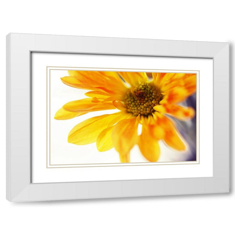 A Little Bit Sun in the Cold Time White Modern Wood Framed Art Print with Double Matting by Jenny Rainbow Fine Art