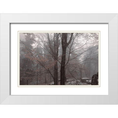 Always Together In Joy And Sorrow White Modern Wood Framed Art Print with Double Matting by Jenny Rainbow Fine Art