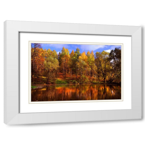 Autumn Reflections White Modern Wood Framed Art Print with Double Matting by Jenny Rainbow Fine Art