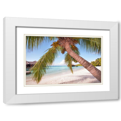 Bowed Palm White Modern Wood Framed Art Print with Double Matting by Jenny Rainbow Fine Art