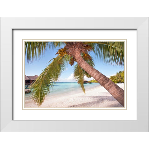 Bowed Palm White Modern Wood Framed Art Print with Double Matting by Jenny Rainbow Fine Art