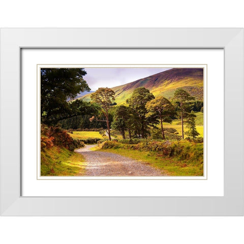 Celtic Spirit in Wicklow Mountains Ireland White Modern Wood Framed Art Print with Double Matting by Jenny Rainbow Fine Art