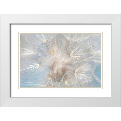 Ethereal Lightness White Modern Wood Framed Art Print with Double Matting by Jenny Rainbow Fine Art