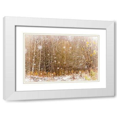 First Snowflakes White Modern Wood Framed Art Print with Double Matting by Jenny Rainbow Fine Art