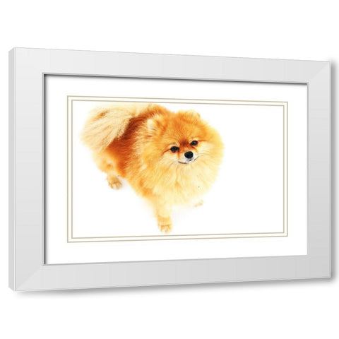 I am Here White Modern Wood Framed Art Print with Double Matting by Jenny Rainbow Fine Art