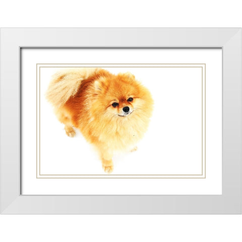 I am Here White Modern Wood Framed Art Print with Double Matting by Jenny Rainbow Fine Art