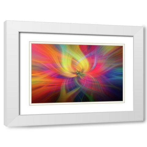 Mystery of Colors Rainbow Flower White Modern Wood Framed Art Print with Double Matting by Jenny Rainbow Fine Art