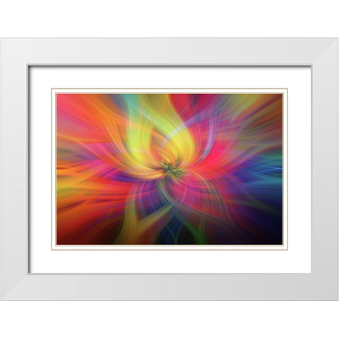 Mystery of Colors Rainbow Flower White Modern Wood Framed Art Print with Double Matting by Jenny Rainbow Fine Art