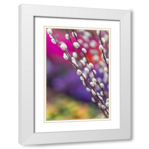 Spring Willow Branch White Modern Wood Framed Art Print with Double Matting by Jenny Rainbow Fine Art
