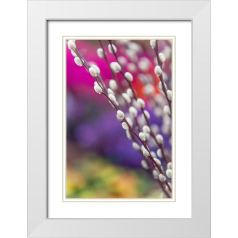 Spring Willow Branch White Modern Wood Framed Art Print with Double Matting by Jenny Rainbow Fine Art