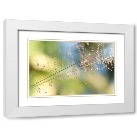 The Beauty of the Earth White Modern Wood Framed Art Print with Double Matting by Jenny Rainbow Fine Art