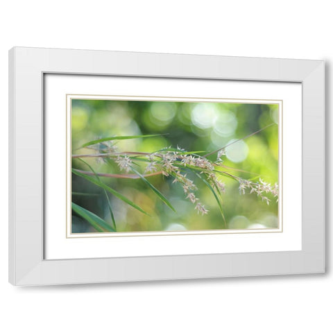 Waterfall of Lights White Modern Wood Framed Art Print with Double Matting by Jenny Rainbow Fine Art